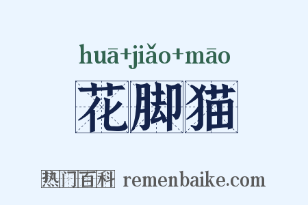 花脚猫是什么意思的图片